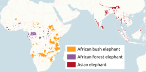 Leefgebied Olifant